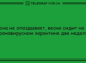 Да будет смех: подборка уморительных анекдотов