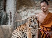Храм тигров, который представляет собой буддийский лесной монастырь (Фото)