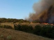 Масштабный лесной пожар на Херсонщине: горит почти 40 гектаров