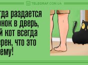 Перерыв на смех: смешные анекдоты 15 октября