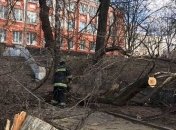 Штормовой ветер в Украине: без света остаются 537 населенных пунктов