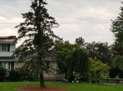 На Онтарио обрушился девятый торнадо за год (Видео)