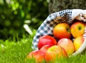 Яблочный спас: история праздника и традиции