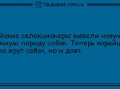 Субботняя пятиминутка смеха: свежие анекдоты