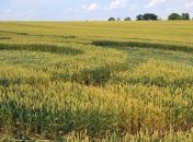 Мужчина в поле грабил уединенные пары  