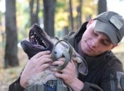 Пес Ерік та гвардієць Ерік