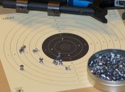 В Житомирской области 6-летняя девочка подстрелила свою 10-летнюю подружку