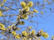 Прогноз на апрель: какой будет погода на Пасху