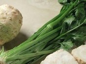 Назван продукт, существенно замедляющий старение