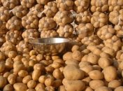 РФ запретила импорт картофеля с Украины