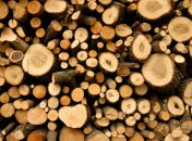 Перед использованием дрова нужно хорошо просушить