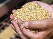 Гройсман рассказал, какую часть ВВП формирует агросектор