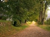 Киевляне почувствуют наступление осени: какой будет погода в столице в начале недели