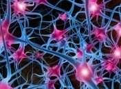 Ученые использовали нейросеть для отслеживания распространения ожирения