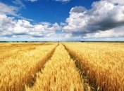 Погода на сегодня: в Украине снова царит жара 