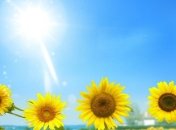 К концу недели в Украине станет максимально жарко