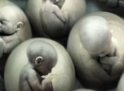 Аборт дома – реальность?