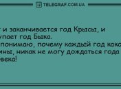 Ударная доза праздничного настроения: свежая порция анекдотов