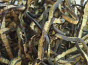 Лучший продукт для укрепления сердца