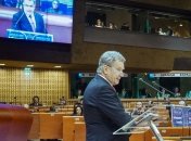 Лидер Финляндии предупредил ПАСЕ о последствиях выхода РФ из СЕ