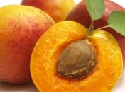От каких смертельных заболеваний спасут абрикосовые косточки?
