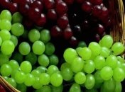 Диетологи сообщили все о пользе и вреде винограда