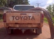 Обескураживающие кадры из Австралии: такого вы нигде не видели (Фото)