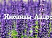 Именины (День Ангела) Андрея: значение имени и поздравления 
