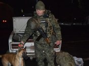 Полицейская собака нашла взрывчатку в автомобиле