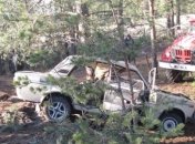 ДТП в Ровенской области: авто столкнулось с деревом