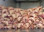 Контрабандисты везли 8 тонн мяса в "ДНР" мимо блокпостов