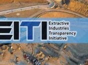 Нардеп от "УДАРа" избрана членом международного правления EITI