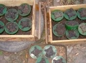 Украинские военные обезвредили минное поле вблизи Мариуполя  