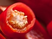 Диетологи назвали продукт, который притупляет чрезмерный аппетит