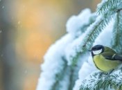 Легкие вещи еще подождут: синоптики дали прогноз погоды до конца недели