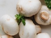 Эта закуска украсит любой праздничный стол⁣: диетолог Светлана Фус рассказала, как приготовить фаршированные грибы 