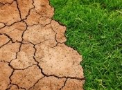 Очень "горячий": 2019 стал самым жарким годом за всю историю наблюдений