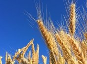 Приметы и обряды на 3 мая – День Федора