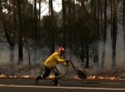 Масштабный лесной пожар бушует в Новой Зеландии