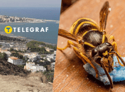 Пляж в Италии и оса