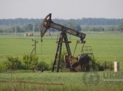 Стала известна дата аукциона по продаже украинской нефти