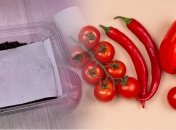 Хороша розсада — запорука чудового врожаю