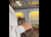 Тот самый "ребенок"