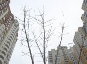 Спрос на жилье в Киеве сместился на 2-3 комнатные квартиры