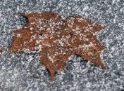 Погода в Украине на 2 декабря: Весь день будет идти мокрый снег 