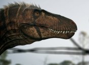 Одним динозавром меньше: ученые усомнились в существовании нанотиранов 