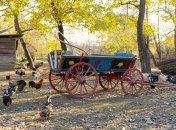 Какой сегодня праздник - День мученика Савина Ермопольского