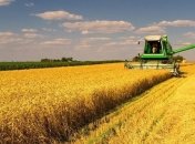 ГФС Украины отчиталась о легальных продажах сельхозпродукции украинцев