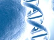 Исследователям удалось заменить гены дрожжей на человеческие