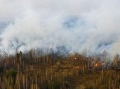 Збитки від пожежі у Чорнобильській зоні оцінюють у десятки мільйонів